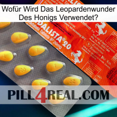 Wofür Wird Das Leopardenwunder Des Honigs Verwendet new01